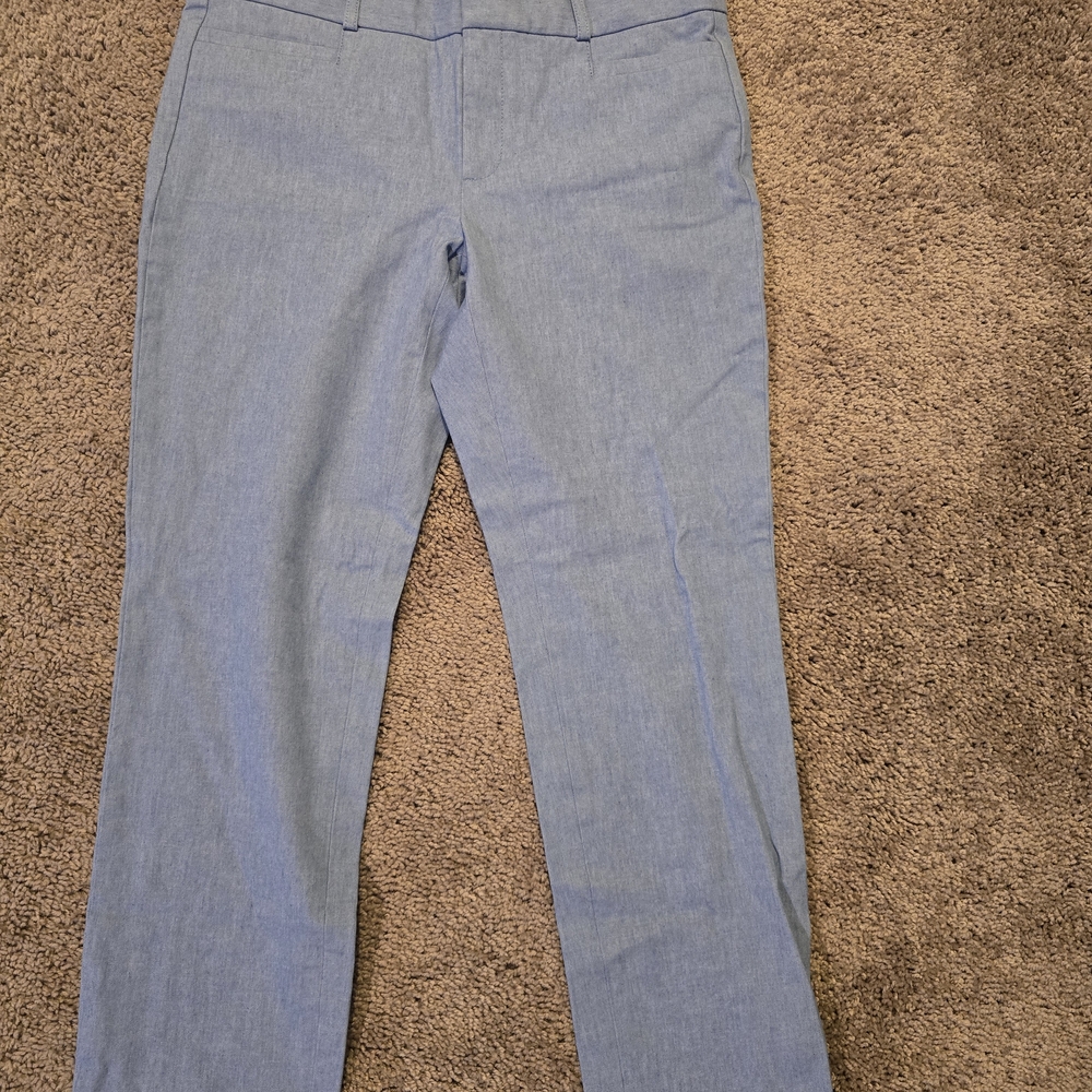 Banana Republic Sky Blue Ankle Pants